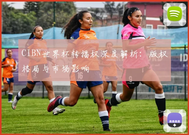 CIBN世界杯转播权深度解析:版权格局与市场影响