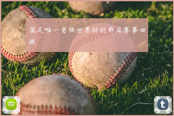 国足唯一晋级世界杯的那届赛事回顾