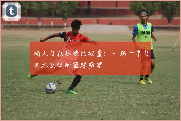 湖人与森林狼的较量：一场干旱与洪水交织的篮球盛宴