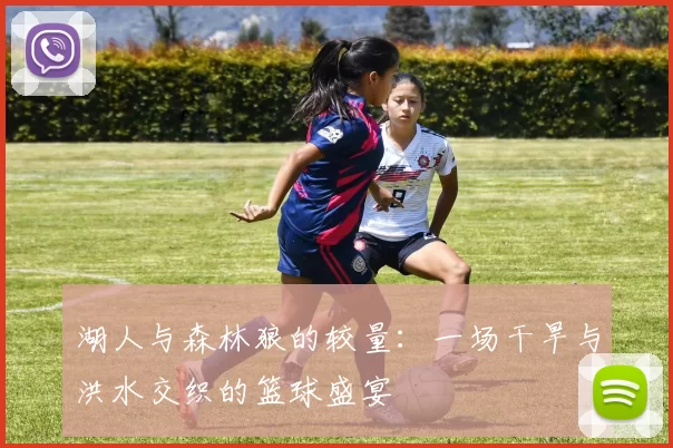 湖人与森林狼的较量：一场干旱与洪水交织的篮球盛宴