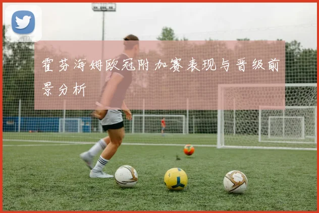 霍芬海姆欧冠附加赛表现与晋级前景分析
