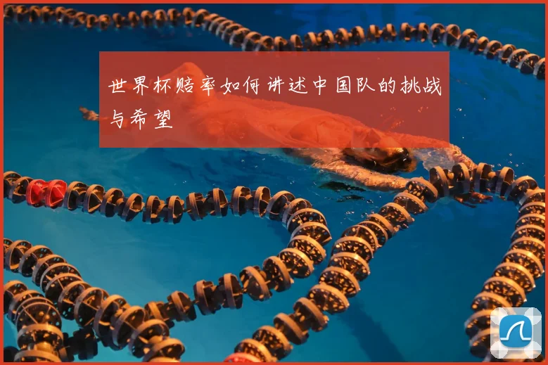 世界杯赔率如何讲述中国队的挑战与希望
