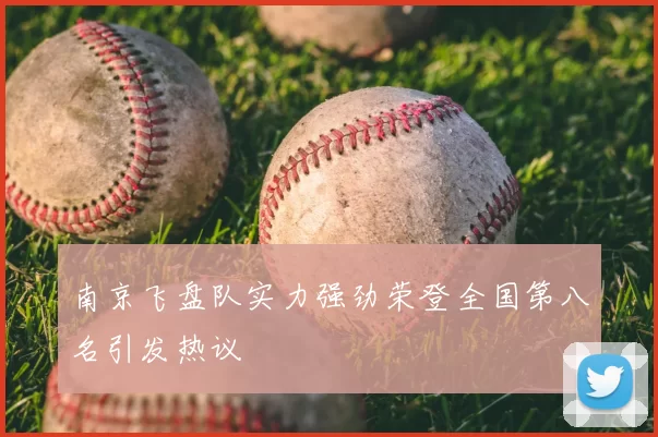 南京飞盘队实力强劲荣登全国第八名引发热议