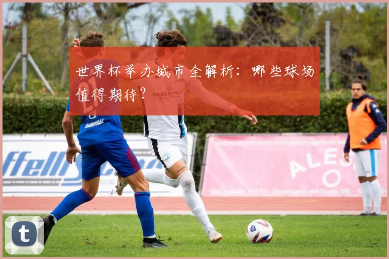 世界杯举办城市全解析:哪些球场值得期待?
