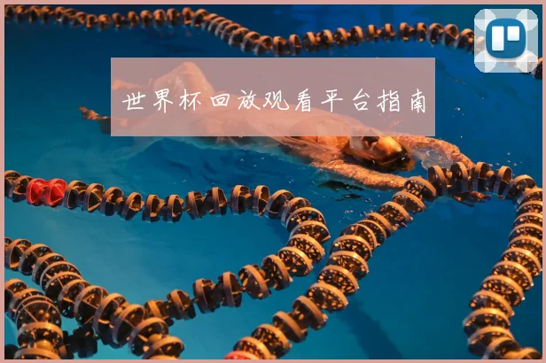 世界杯回放观看平台指南