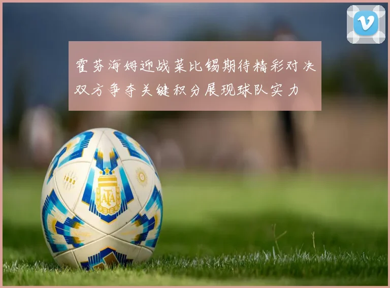 霍芬海姆迎战菜比锡期待精彩对决双方争夺关键积分展现球队实力